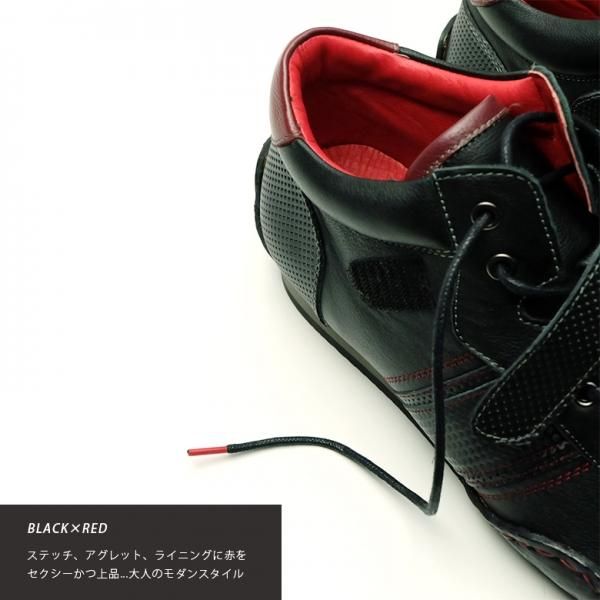 three generations(スリージェネレエーションズ)Neu interesse three generations(スリージェネレエーションズ)Neu interesse