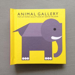 animal gallery               7ͽꤴͽ                          