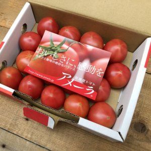 旬八ボックス（高糖度フルーツトマト「アメーラ」1箱（約1kg））※送料込み