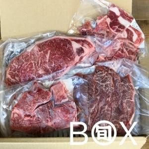Ȭܥåʵܺ긩µХ饨ƥåȡסˢߡϤϰ 깭ϩŹȯ