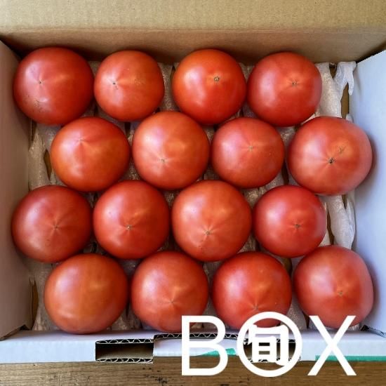 旬八ボックス 高知県産 シュガートマト ヴェルデ 1箱 約0 8 1kg 12 玉 送料込み お届け地域限定 大崎広小路店発送