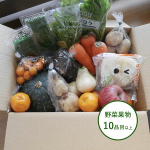 旬八ボックス（旬の野菜・果物詰め合わせ 10品目以上）※基本送料込