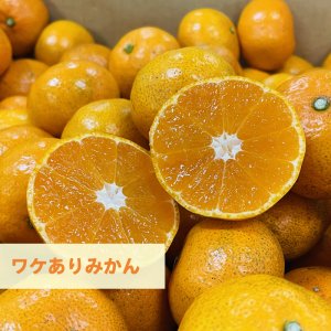 旬八ボックス（旬の柑橘５種食べ比べセット｜約2.0kg, 約4.5kg）※送料込