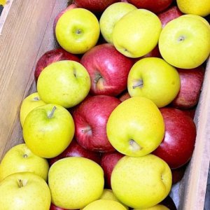 産地より直仕入｜赤・黄りんご２種詰め合わせ｜計2kg,計4.5kg