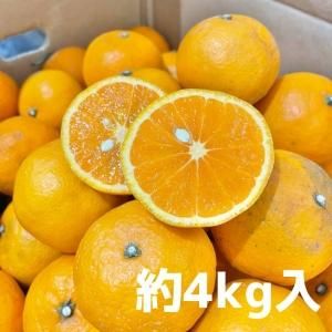 ²λJAΤ | դ˿٤ߤųʤʤĤߡˡס4kg