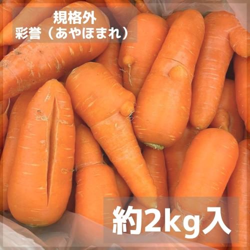 熊本県産｜ワケあり高糖度にんじん「彩誉（あやほまれ）」 約2kg