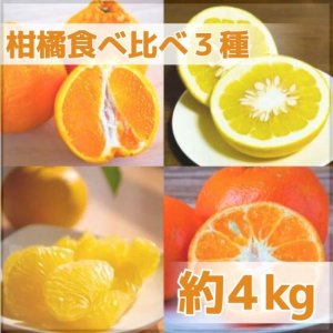 和歌山県JA紀の里｜柑橘食べ比べセット（３種入）計4kg