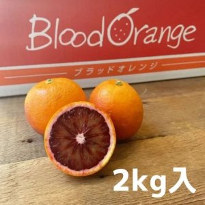 愛媛県産 | ブラッドオレンジ 約2kg