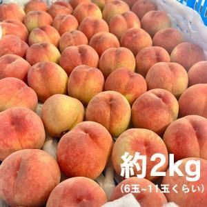 ڥ辰ΤǤʡ縩Į ۤȿͤʵʳˡ2kg