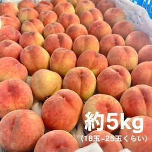 ڥ辰ΤǤʡ縩Į ۤȿͤʵʳˡ5kg