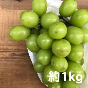 あなたにとってのおいしい青果を。｜旬八オンライン