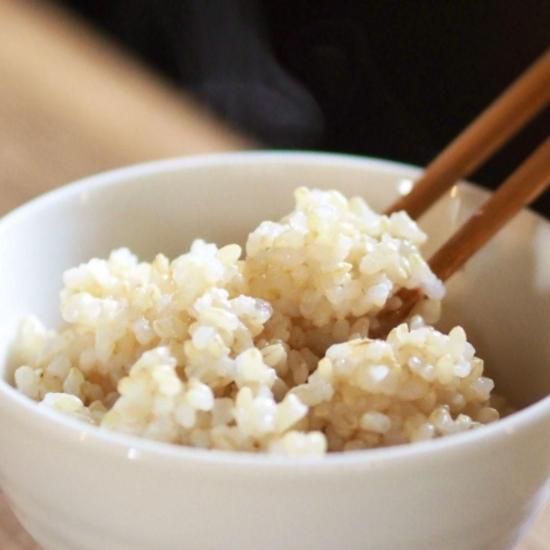 新米　ちほみのり　玄米　30 新米 ちほみのり 玄米 30