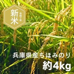 £ǯ١ÿơʼ˸ Ḷȡ֤ۤߤΤ4kgʸơ