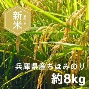 旬の果物〜青果市場直送 旬の果物〜青果市場直送 あなたにとってのおいしい青果を。｜旬