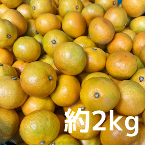 <img class='new_mark_img1' src='https://img.shop-pro.jp/img/new/icons5.gif' style='border:none;display:inline;margin:0px;padding:0px;width:auto;' />12ٰʾݾڡʡ֤ˤߤס2kg