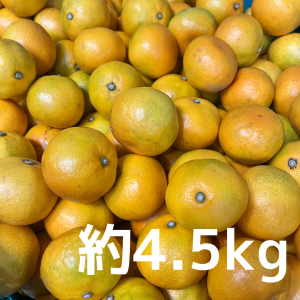 <img class='new_mark_img1' src='https://img.shop-pro.jp/img/new/icons5.gif' style='border:none;display:inline;margin:0px;padding:0px;width:auto;' />12ٰʾݾڡʡ֤ˤߤס4.5kg