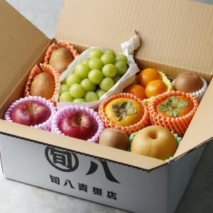 Ȭեȡýܤβʪͤ碌 Mʣʾ