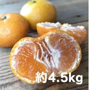 ²λͭİ 崰 ͭĤߤ 4.5kg