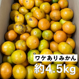 <img class='new_mark_img1' src='https://img.shop-pro.jp/img/new/icons5.gif' style='border:none;display:inline;margin:0px;padding:0px;width:auto;' />ڤǤ̡ۥ辰ߤ4.5kg