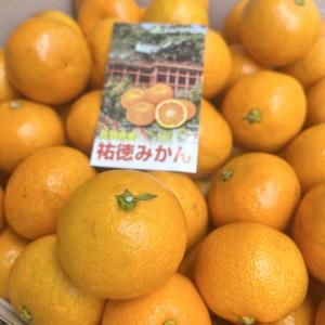 츩13ٰʾ ̺ѥ֥ɲߤʹߤףȢ5kg