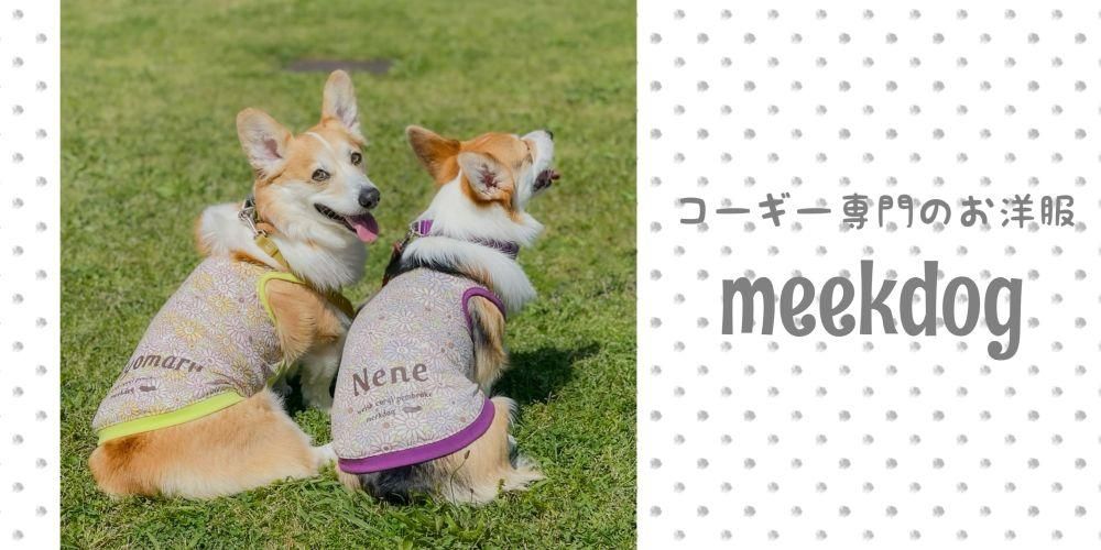 Τmeekdog