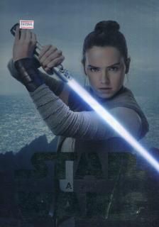 スター・ウォーズ/最後のジェダイ 映画パンフレット ライアン