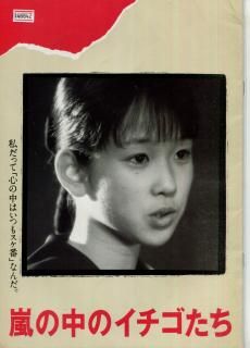 映画パンフ　嵐の中のイチゴたち　1989年　チラシつき 嵐の中のイチゴたち - 映画パンフレット専門店 - たなべ書店