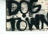 DOGTOWN&Z-BOYS