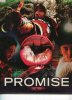 PROMISE-ץߥ-