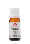 Cinnamomum camphora BS 1,8-cineole／ラヴィンサラ