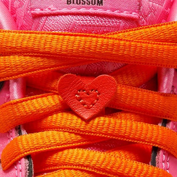 The Powerpuff Girls × Nike SB Dunk Low Pro QS Blossom FZ8320