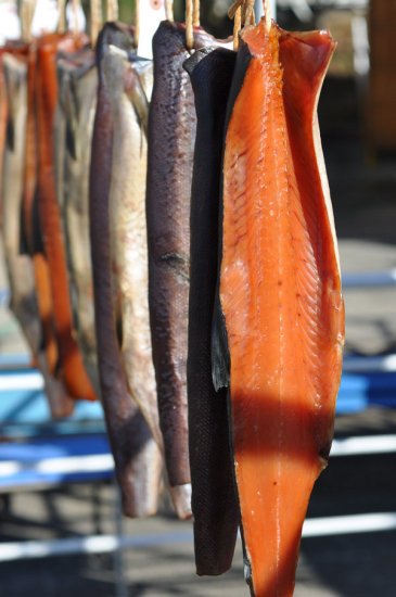 干物 日本海の魚 新潟 サケ 鮭 シャケ 海鮭醤油干し （半身）Lサイズ - 笹川流れ地魚処 天ぴ屋