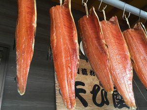 干物 日本海の魚 新潟 サケ 鮭 シャケ 海鮭醤油干し  半身 Lサイズ