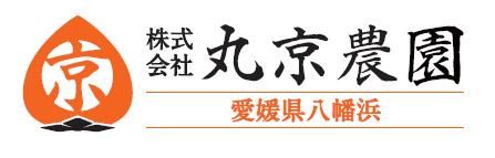 日本一大きい柿・愛媛県八幡浜市特産・丸京農園の富士柿『媛富士HIME-FUJI』