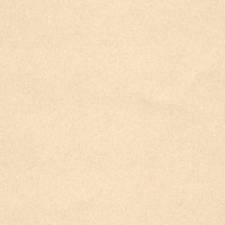 手漉鳥の子紙 - 手漉和紙・大判和紙（大きいサイズ）【京都の和紙専門 