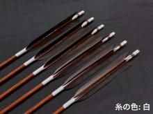 カーボン矢 6本組 ハヤブサ7622 黒手羽 (1)