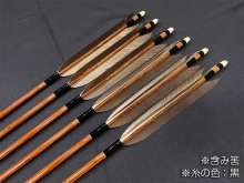 カーボン矢 6本組 ハヤブサ8025 黒手羽 (4) - 大阪 猪飼弓具店（いかい きゅうぐてん）