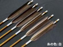 ܥ 6 KCγ-7518 걩 (4)<img class='new_mark_img2' src='https://img.shop-pro.jp/img/new/icons58.gif' style='border:none;display:inline;margin:0px;padding:0px;width:auto;' />