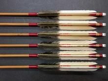 ڰץߥۥܥ 6 ߥSST 75-20 BC  ȴ (1)
