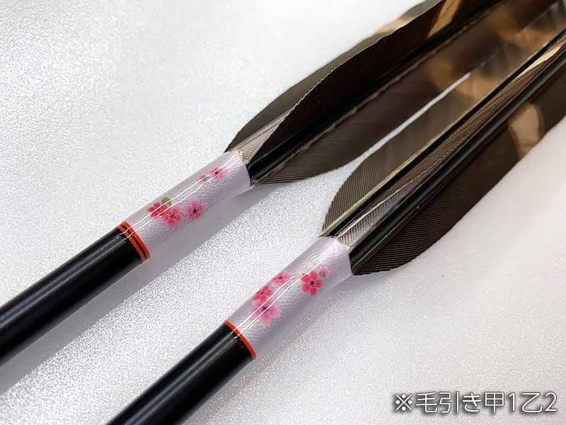 ジュラ矢 2014 2組 セット 梓】ジュラ矢 6本組 2014黒 黒手羽染抜 元白 (2) - 大阪 猪飼弓