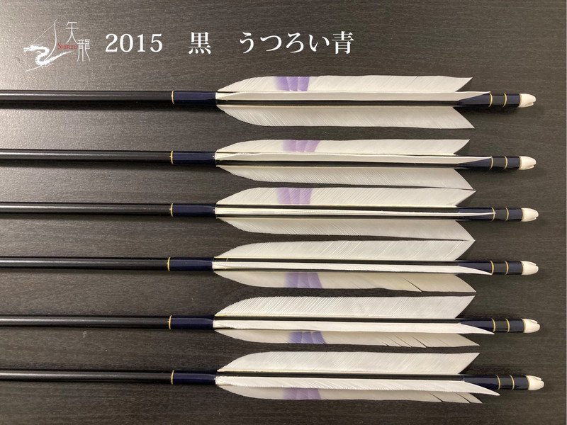 弓道 矢 EASTON 2015 ターキー6本 黒鷲尾羽5本 - その他