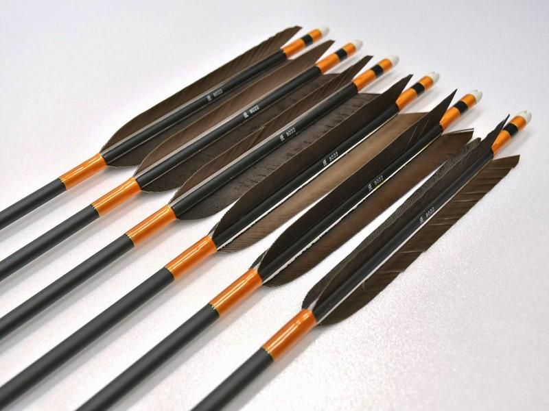 弓道の日セール カーボン矢 匠8022 黒手羽 6本組 1 大阪 猪飼弓具店 いかい きゅうぐてん