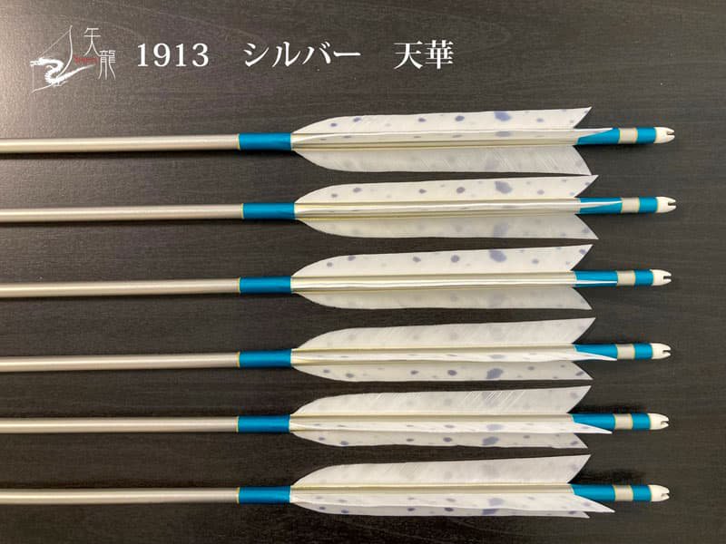 弓道 矢 EASTON 1913 イーストン 黒鷲尾羽 ジュラ矢 - その他