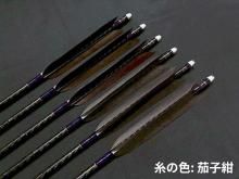 ܥ 6 ߥWENEW 8020 걩 (2)<img class='new_mark_img2' src='https://img.shop-pro.jp/img/new/icons58.gif' style='border:none;display:inline;margin:0px;padding:0px;width:auto;' />