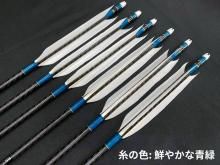 遠的カーボン矢 6本組 ミズノWENEW 7518 グースナタ羽 (2)