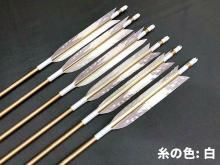 Ū  1913   [ζ] 6<img class='new_mark_img2' src='https://img.shop-pro.jp/img/new/icons6.gif' style='border:none;display:inline;margin:0px;padding:0px;width:auto;' />