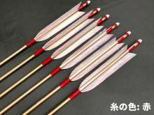 Ū  1913   [ζ] 6<img class='new_mark_img2' src='https://img.shop-pro.jp/img/new/icons6.gif' style='border:none;display:inline;margin:0px;padding:0px;width:auto;' />