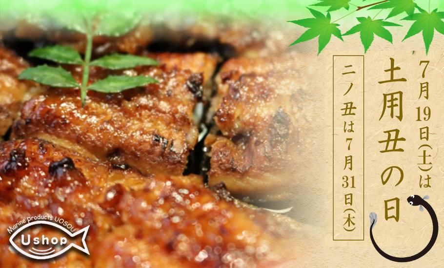 うな肝 ZS-614 うなぎ肝の佃煮缶詰 60g×2個 - 鹿児島県薩摩川内市