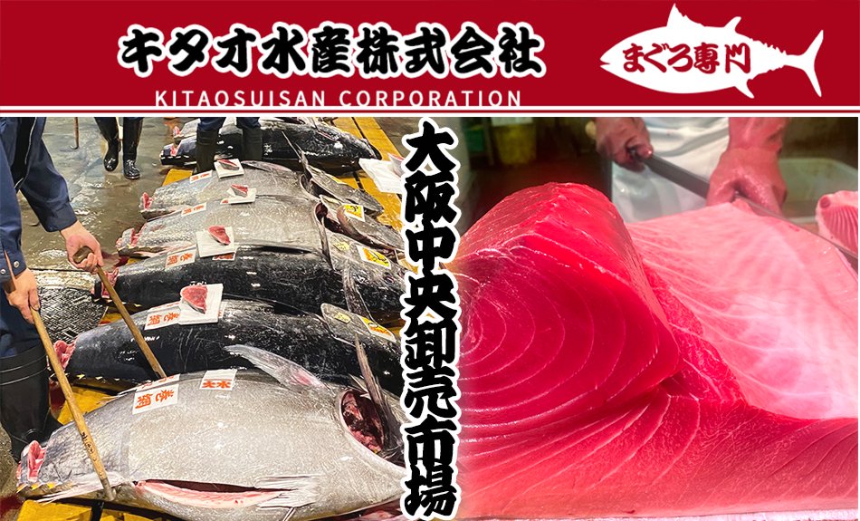 本鮪 とろ 1kg | 中トロ マグロ 腹 4番 - Ushop