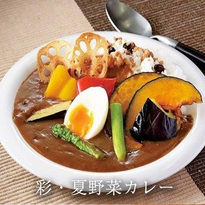 風と光 オーガニックヴィーガンレトルトカレー 野菜＜180g（1